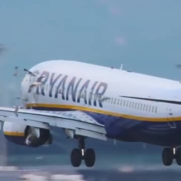 Ryanair #B737 Many Bird Strike Landing #Flying #Aviation #AeroArduino