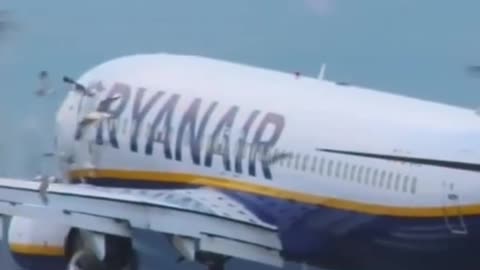 Ryanair #B737 Many Bird Strike Landing #Flying #Aviation #AeroArduino