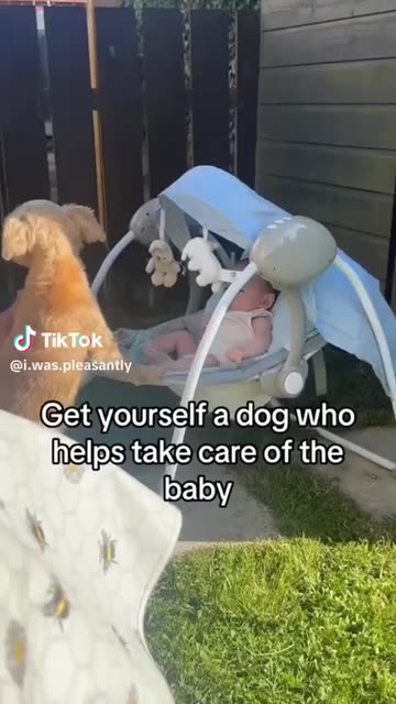 Dogs Make Good Babysitters😍
