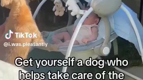 Dogs Make Good Babysitters😍