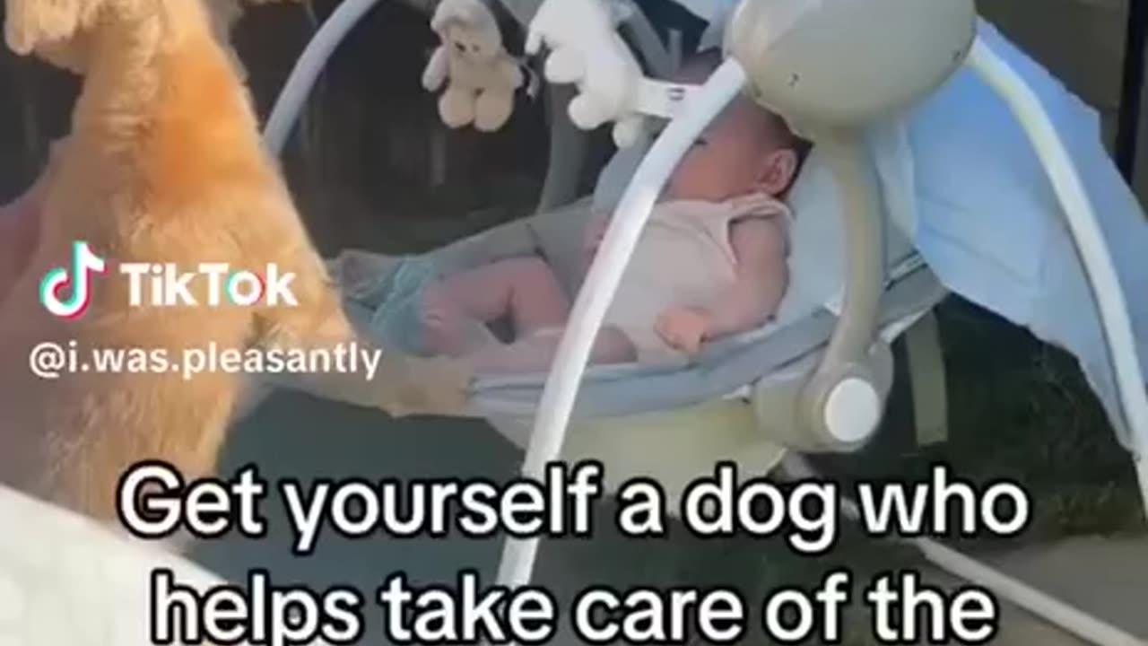 Dogs Make Good Babysitters😍