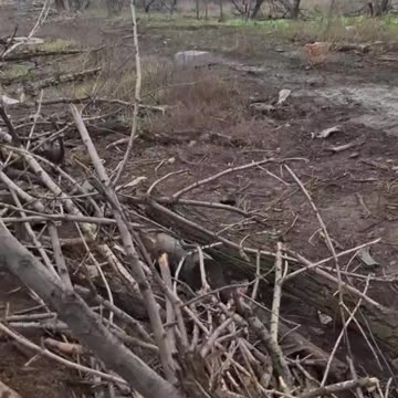 Ukrops have used chloracetophenol,