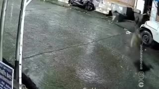 😱🐆 You Won't Believe What These Stray Dogs Found! Leopard Surprise | FunFM