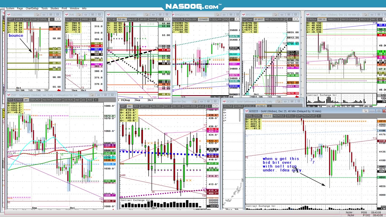 SILVER CATTLE Oct22 pivot numbers specialty