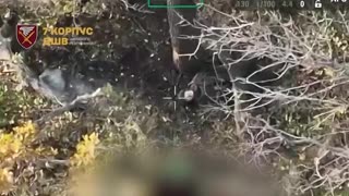 7th Corps DSHV: Situation in Pokrovsk and Myrnohrad In total, on October 29,