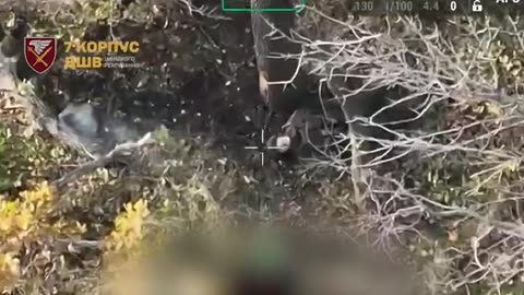 7th Corps DSHV: Situation in Pokrovsk and Myrnohrad In total, on October 29,