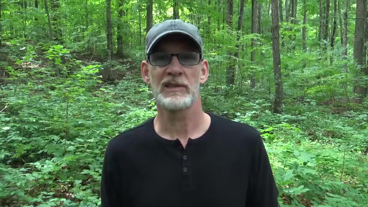 WE ARE THE DISCLOSURE