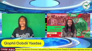 Qophii Oobdii Yaadaa ONM-ABO Sadaasa 6-2025 itti dhiyaadhaa!