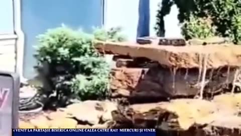 OLTEA HOZAN -SĂ NU TE SOCOTEȘTI SINGUR ÎNȚELEPT- AUTOR PUIU CHIBICI #caleacătrerai #poetry #poezie