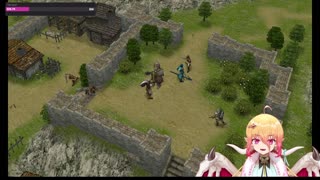 This operation was political