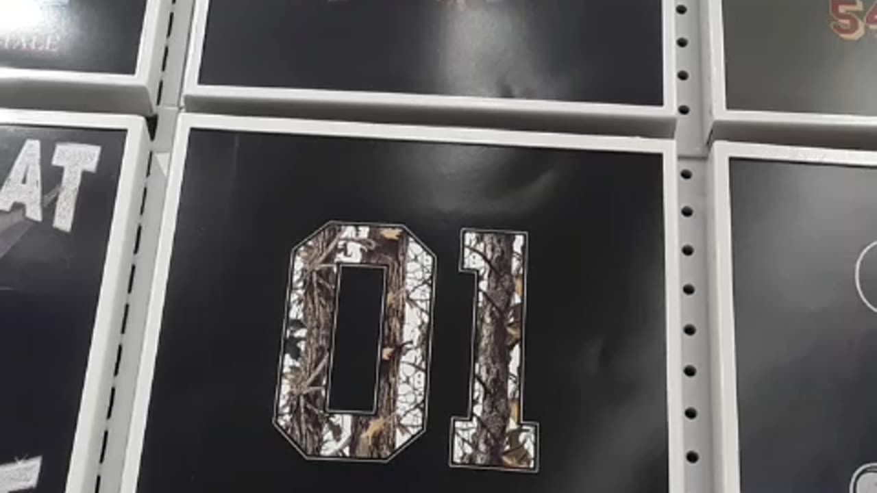 FAKE O1