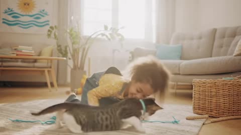 A cat playing with a child