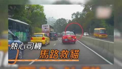 100 Random Acts of Kindness That Will Make You Cry Best of the Year !