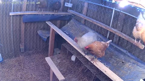 Wake Up Cam2