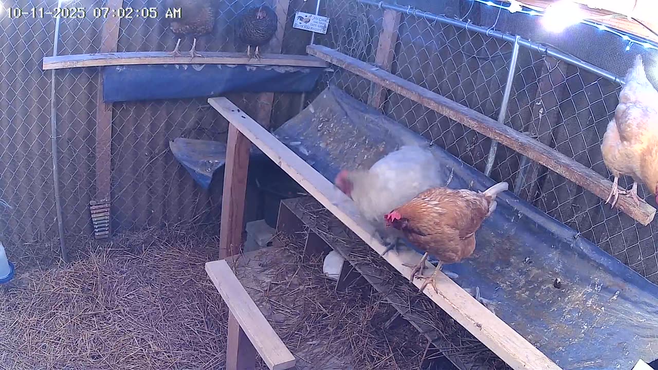 Wake Up Cam2