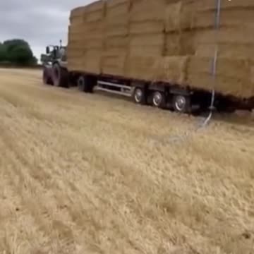 The most adorable helper out there!