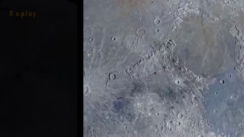 Incroyable ! Un OVNI a atterri dans une forêt à Miami, en Floride