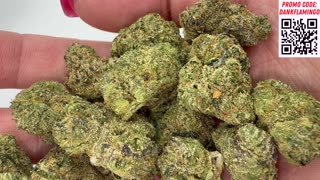 Which Supreme Strain from Lit Farms Smokes Best? Dankin With The Flamingos!!