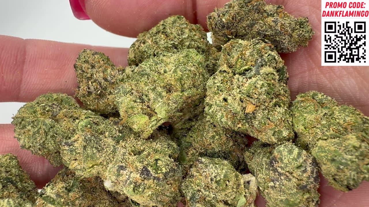 Which Supreme Strain from Lit Farms Smokes Best? Dankin With The Flamingos!!
