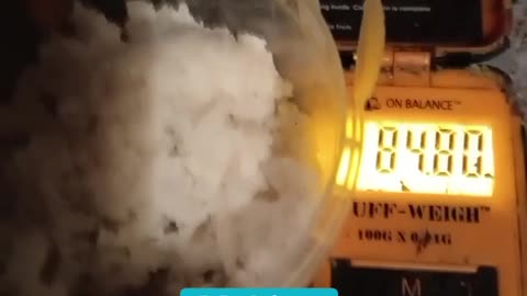MAKING SEA SALT TRUTH DOG SEA SALT
