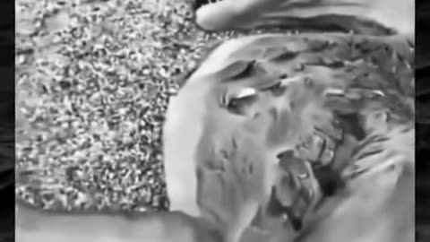 😱👻 You Won't Believe What They Caught on Camera! Creepy Paranormal Encounter | TheHauntingHour