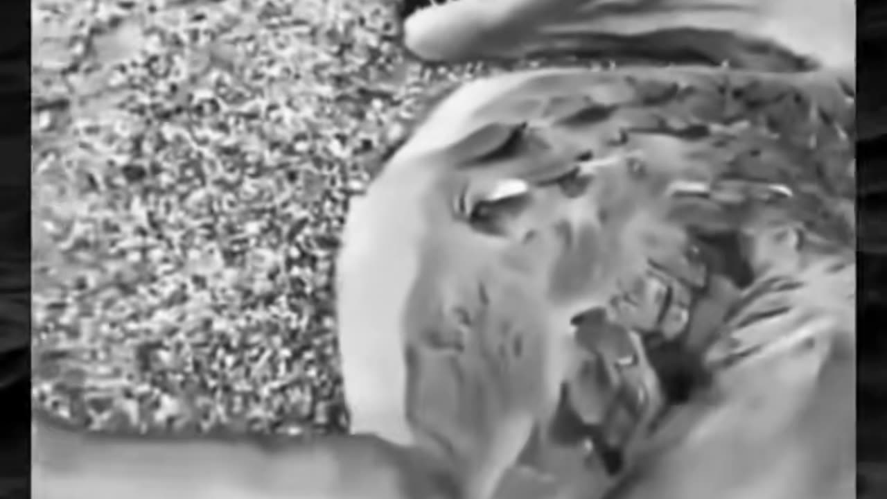 😱👻 You Won't Believe What They Caught on Camera! Creepy Paranormal Encounter | TheHauntingHour