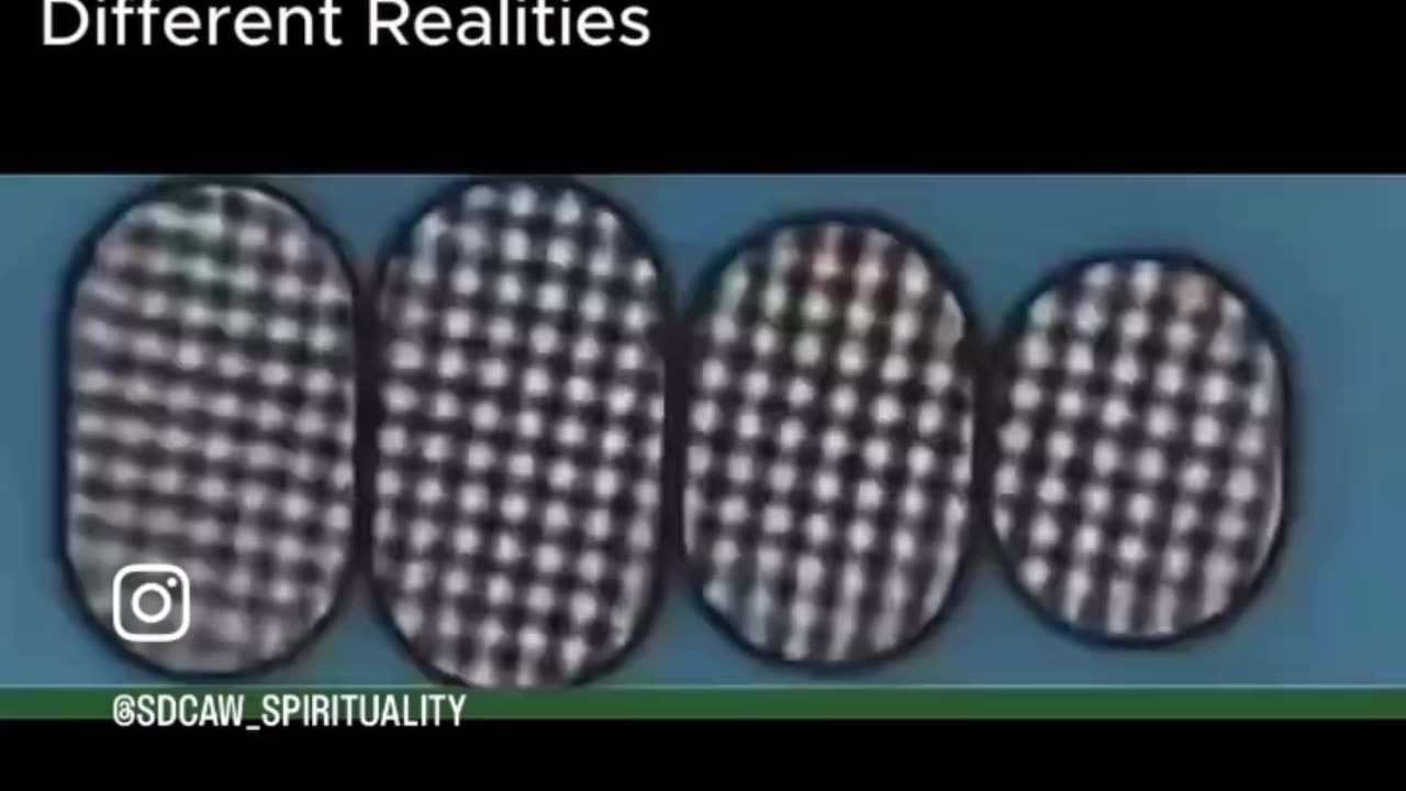 You live in a many timelines