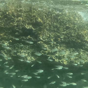 Any Day Snorkeling Is A Good Day!!