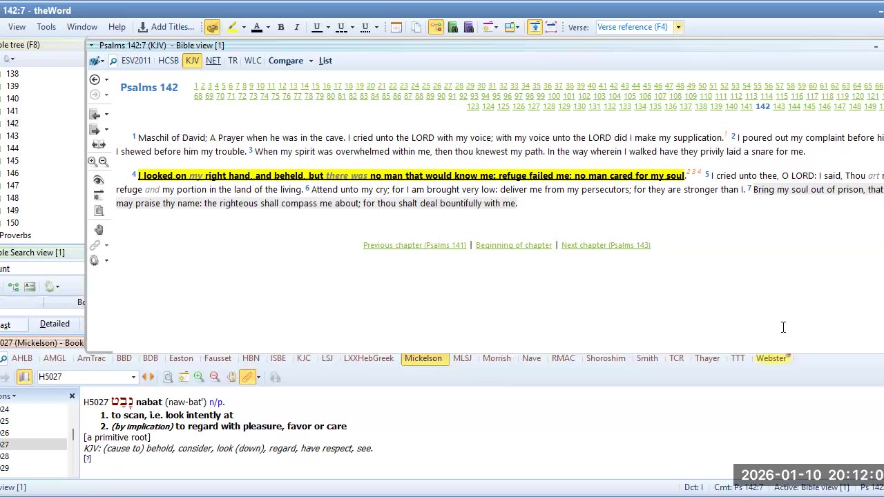 BIBLE STUDY PSALMS 142