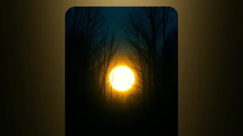 Enlightenment (Club Mix) #electronic #violin #cello #darkhouse #sensual #clubbanger #Christ #God
