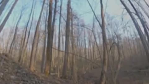 🌲💥 Ukraine Russia War | Marine Brigade Executes Forest Combat Operations in Sumy | RCF