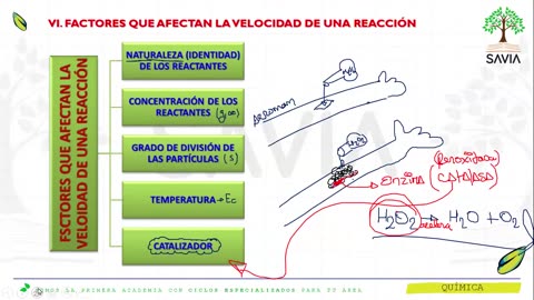 SAVIA REGULAR 2025 | Semana 13 | Química S1