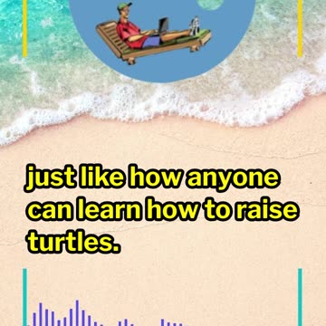 What is the Turtle Trading Strategy?