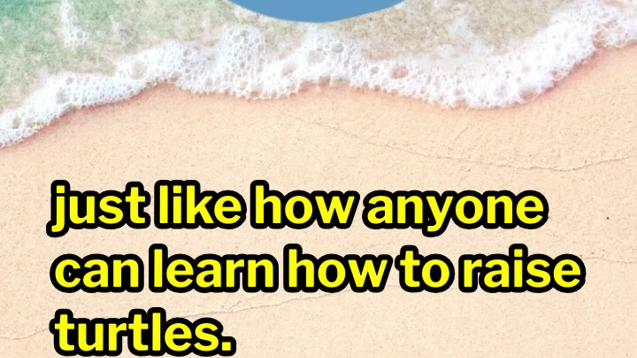 What is the Turtle Trading Strategy?