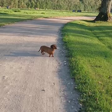 Bye 2024, it was magical.