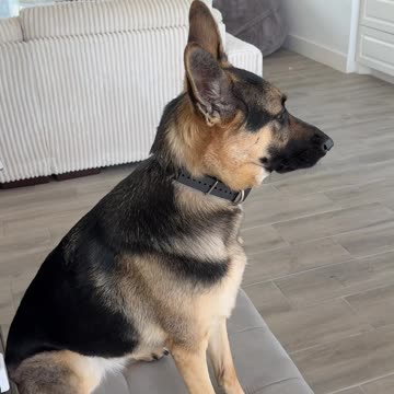 Christmas album coming soon