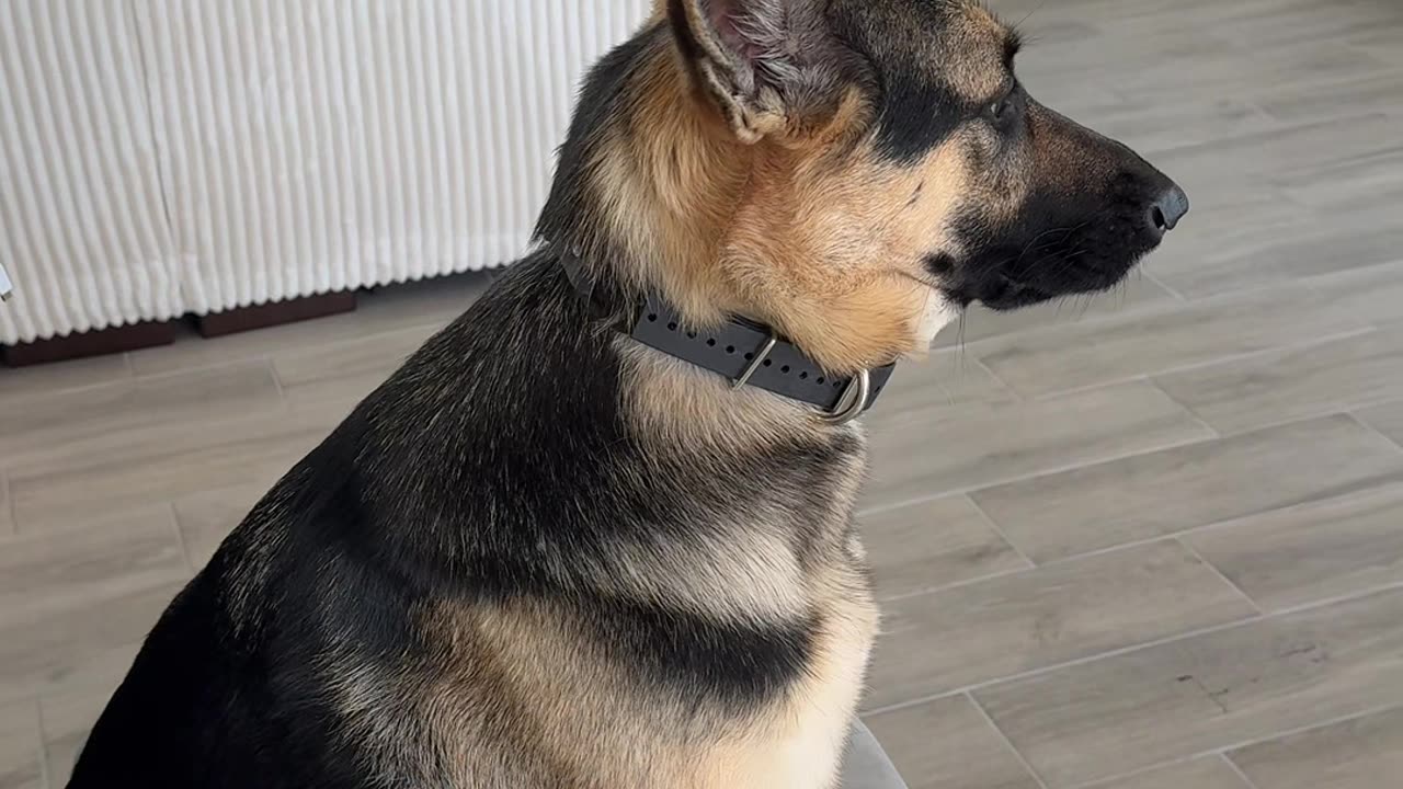 Christmas album coming soon