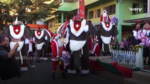 Thai primary school students receive trunk-loads of Christmas gifts from elephants