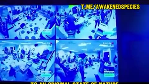 Straight From The New Naked Gun 2025： Mind Control Through Billionaire Bunkers & Frequencies.