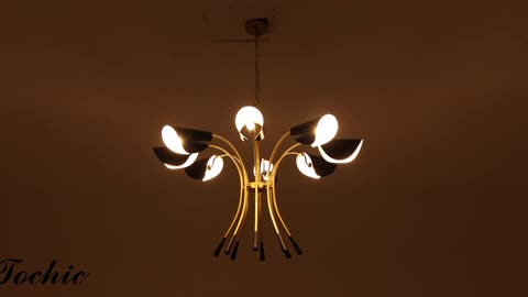 Modern 8-light black and gold chandelier, convertible design, perfect for dining, living, kitchen