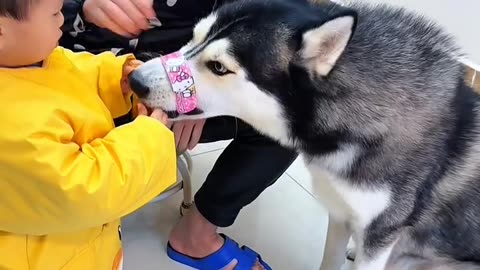Funny 🤣 animals