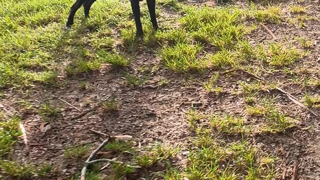 11.12.2025 Morning Walk