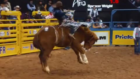 AUGUST 6 2019 DAY 5 OF STURGIS BUFFALO CHIP PART 2
