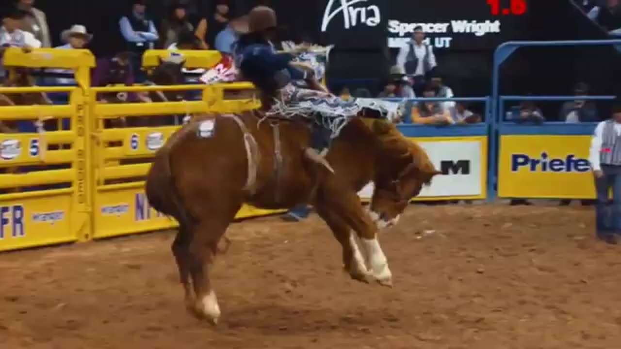 AUGUST 6 2019 DAY 5 OF STURGIS BUFFALO CHIP PART 2