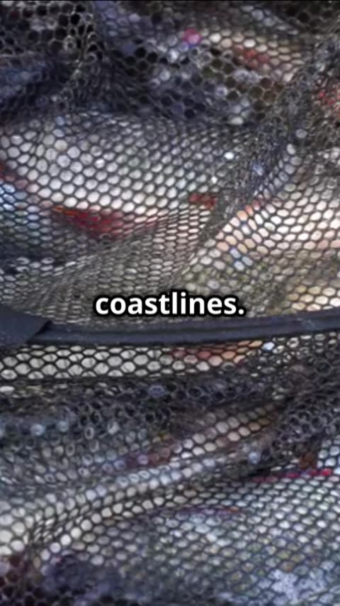 American Water: Fast Facts in 60 Seconds!