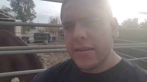 Compa Pebric 1 : Mi Opinión De Logan Paul (Jan 6, 2018)