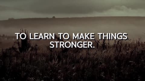 Storm Eowyn - my lesson