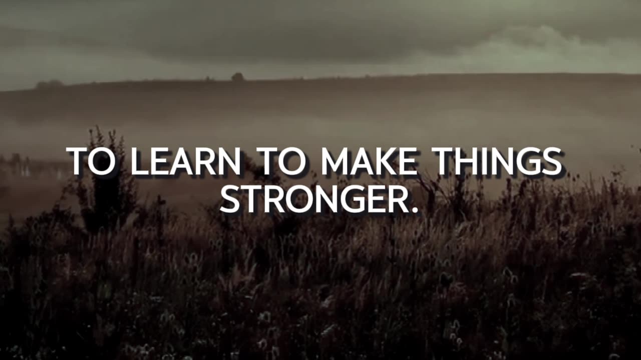 Storm Eowyn - my lesson