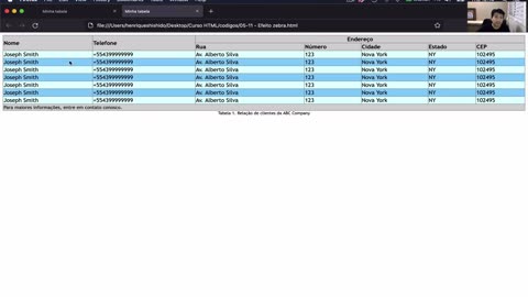 Módulo III - Html - Aula 51 - Efeito Zebra