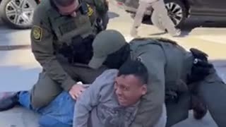 Screaming Illegal Detained By Federal Agents